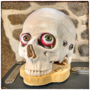 Dr. No Necrofuzzicon