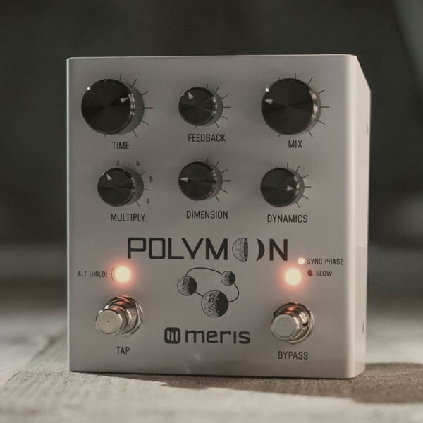 Meris Polymoon Delay